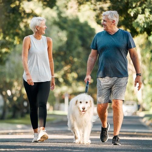 An older man and woman walk a dog.