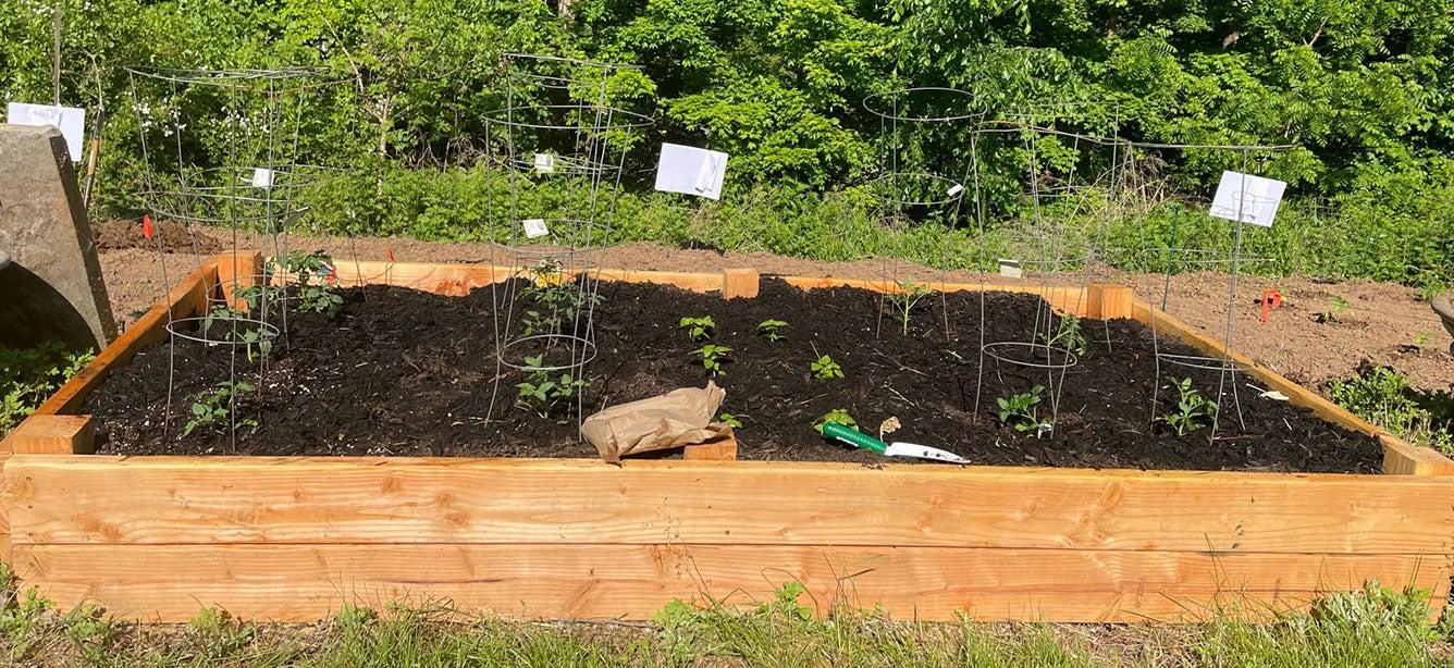 Senior Center Spotlight: Woodbury Community Senior Center