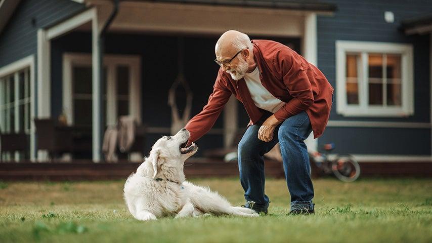 smiling man with gray hair and beard squatting down to pet a dog