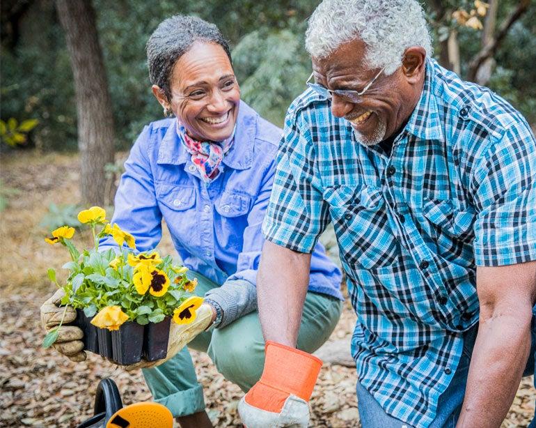 A senior retired Black couple is enjoying time together in their garden.