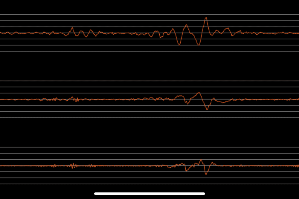 A seismograph image showing little variation