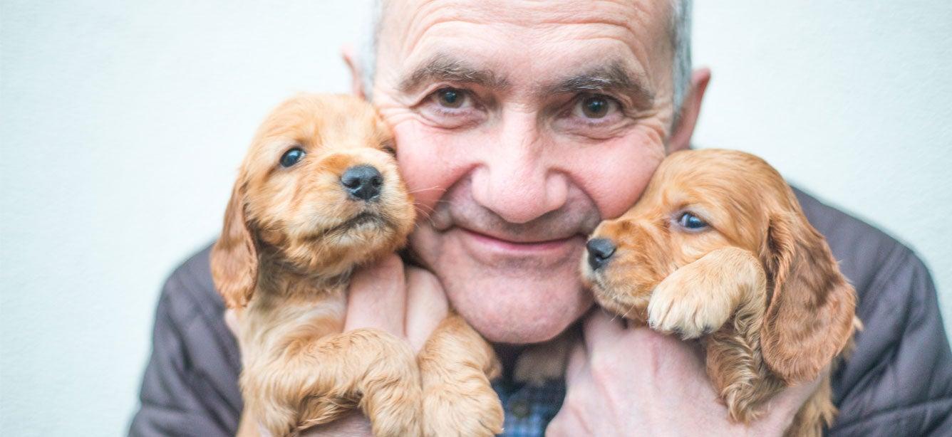A senior Caucasian man is holding two puppies near his face, smiling with joy.