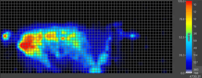 Pressure map reading of the Saatva Rx with an older adult sleeping on their side