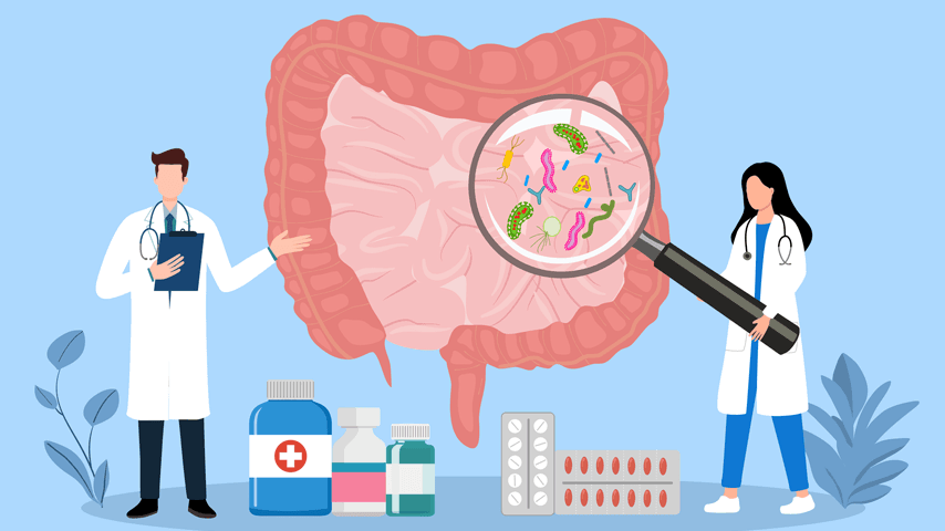 Medical doctors examining the human digestive system with a magnifying glass for diagnosis and treatment of intestinal diseases stock illustration