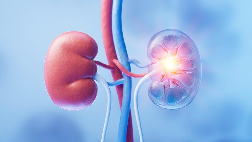 Close up of blood and fat cells that are intertwined.